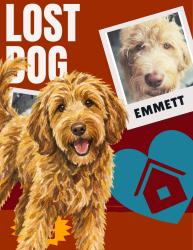Reunited Male Dog last seen Whitendale Park, Mountainview Elementary, Visalia, CA 93277