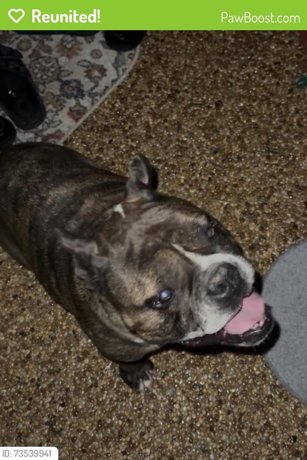 Reunited Female Dog last seen Farrell Dr and Montana Ave, Cincinnati, OH 45211
