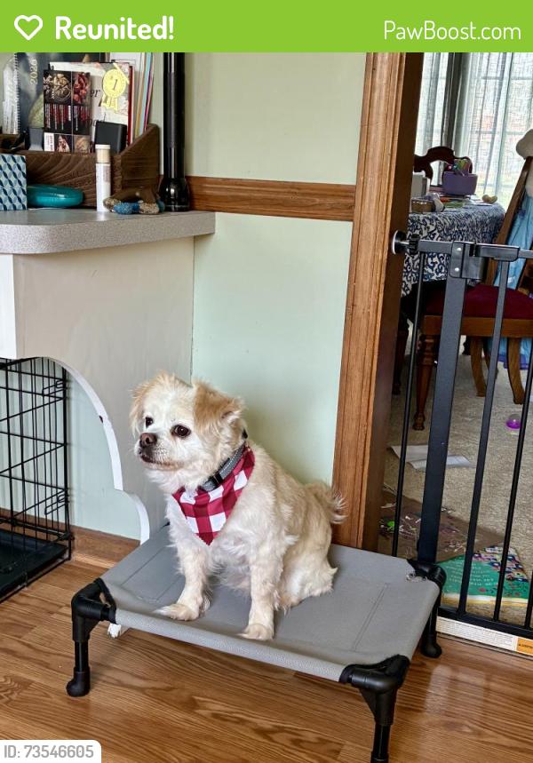 Reunited Male Dog last seen Ironwood Dr and Hawthone De, Carmel, IN 46033