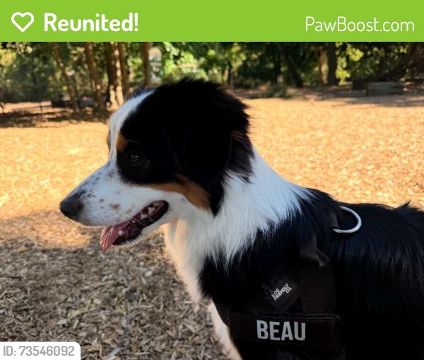 Reunited Female Dog last seen Long Lane and Bagsby Lane, Franklin, TN 37064