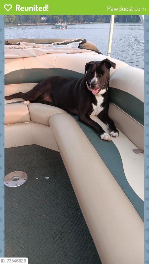 Reunited Female Dog last seen In between 32nd st and 34th st, Hamilton, MI 49419