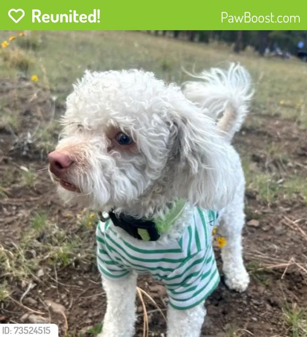 Reunited Male Dog last seen Sueno Park, Phoenix, AZ 85035