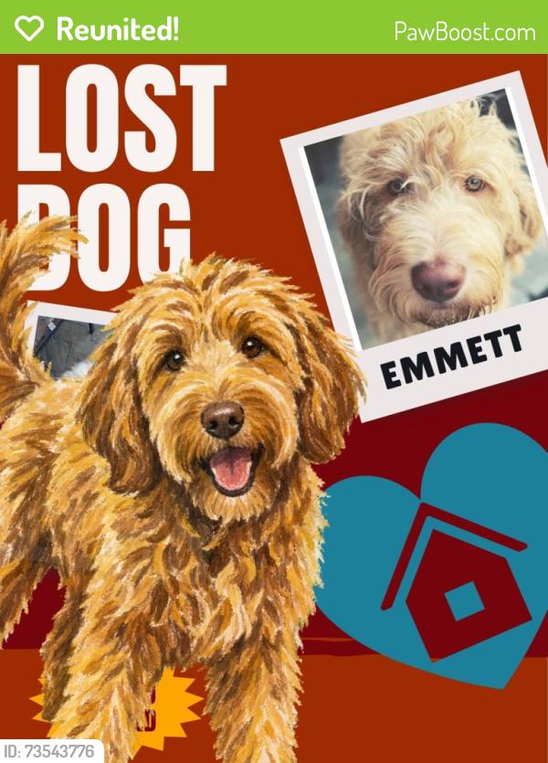 Reunited Male Dog last seen Whitendale Park, Mountainview Elementary, Visalia, CA 93277