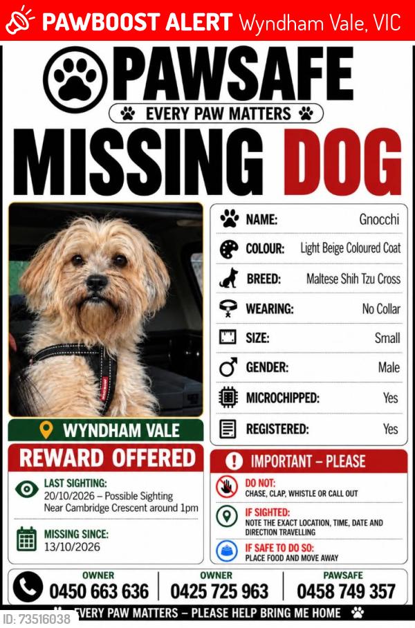Lost Male Dog last seen cambridge crescent, Wyndham Vale, VIC 3024