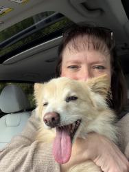 Reunited Female Dog last seen Roundhill Drive, Elbow Road, Virginia Beach, VA 23456