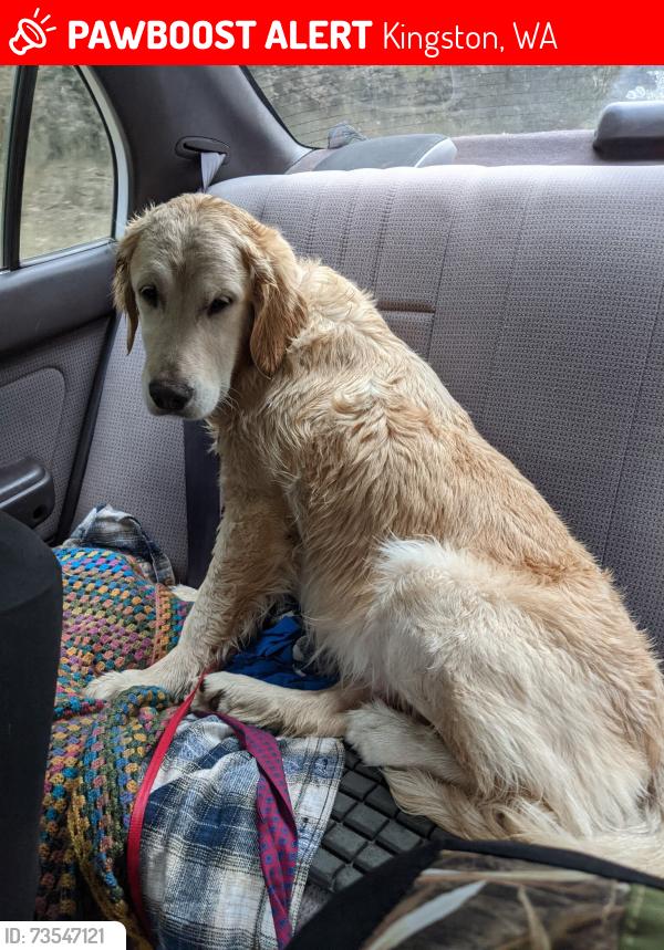 Lost Female Dog last seen Argus and Wyant, Kingston, WA 98346
