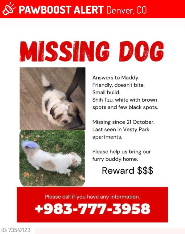 Lost Female Dog last seen Vesty Park apmts, Denver, CO 80204