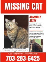 Lost Female Cat last seen Near harrison circle, Locust Grove, VA 22508