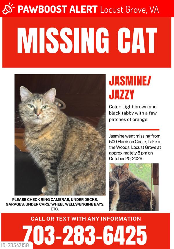 Lost Female Cat last seen Near harrison circle, Locust Grove, VA 22508
