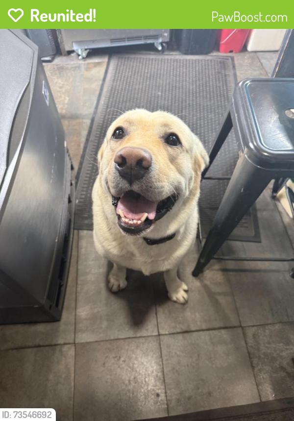 Reunited Male Dog last seen Maltby park, Snohomish, WA 98296