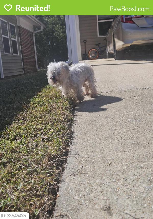 Reunited Unknown Dog last seen Slytrain and Commando, Fort Liberty, NC 28307