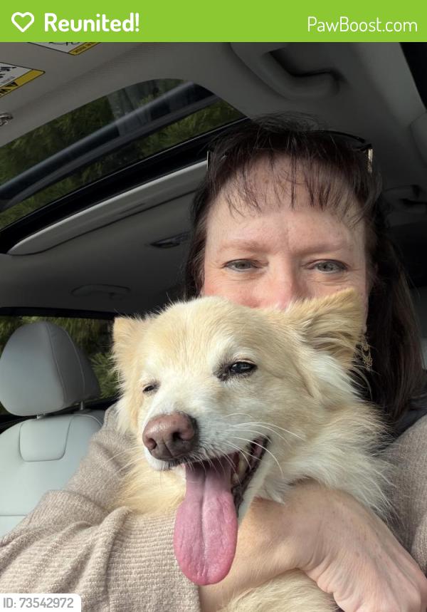 Reunited Female Dog last seen Roundhill Drive, Elbow Road, Virginia Beach, VA 23456