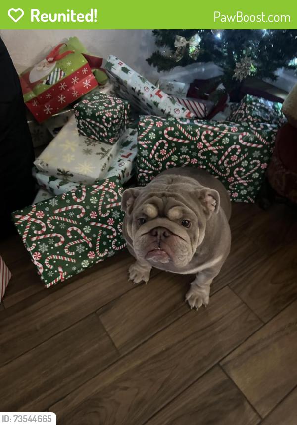 Reunited Female Dog last seen Hefner and Broadway, Oklahoma City, OK 73114