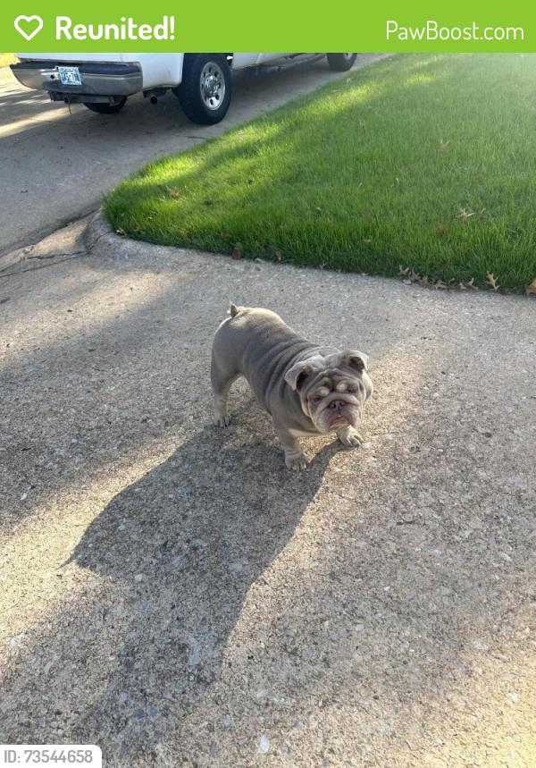 Reunited Female Dog last seen 122nd and Broadway Ext., Oklahoma City, OK 73114