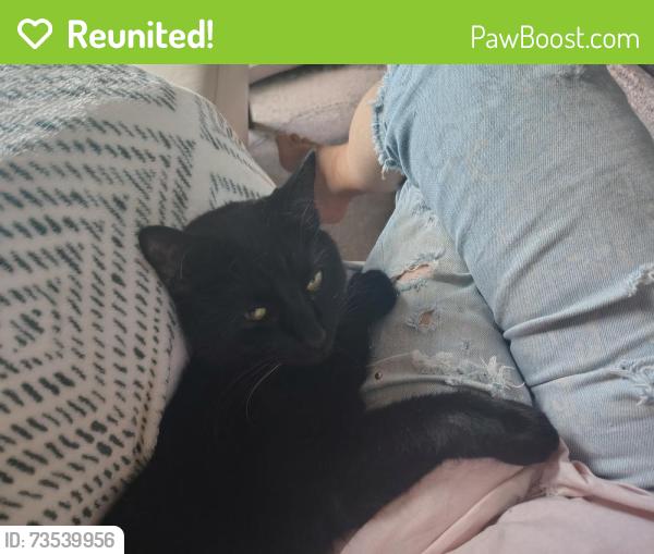 Reunited Male Cat last seen Lakeside Dr near Pilot Knob, Eagan, MN 55123