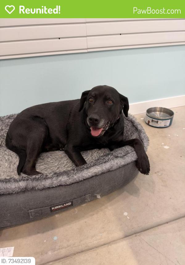 Reunited Unknown Dog last seen W Floating Feather Rd, Star, ID 83669