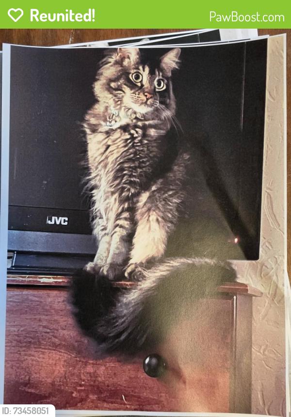 Reunited Male Cat last seen 8th St and Avenue E, Billings, MT 59102