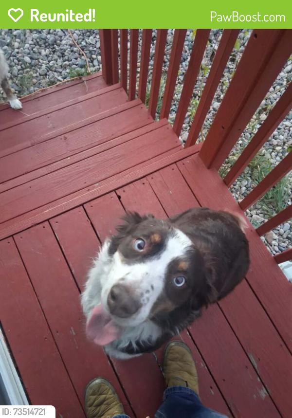 Reunited Male Dog last seen 3rd st, Cheyenne, WY 82003