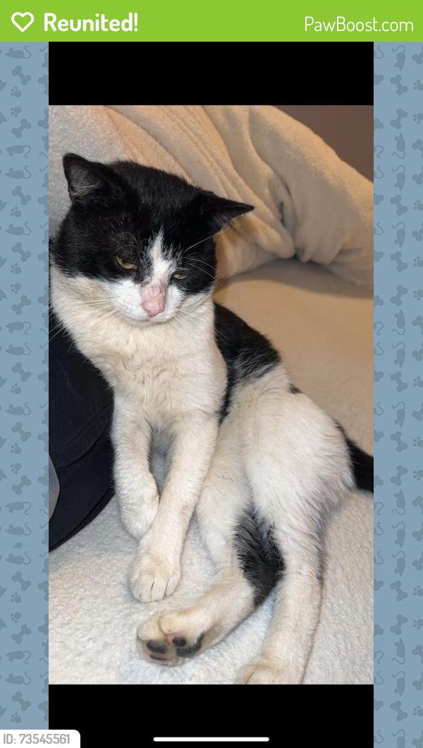 Reunited Male Cat last seen Briar meads, Oadby, England 