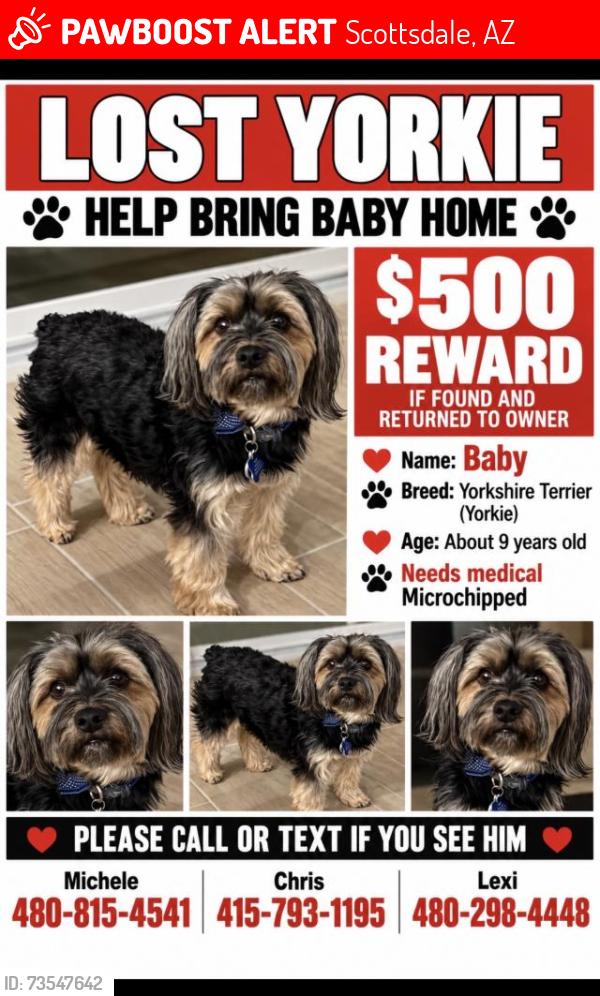 Lost Male Dog last seen Jomax and pinnacle peak, Scottsdale, AZ 85266