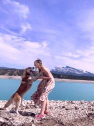 Lost Male Dog last seen Ellerlsie rd, Edmonton, AB 