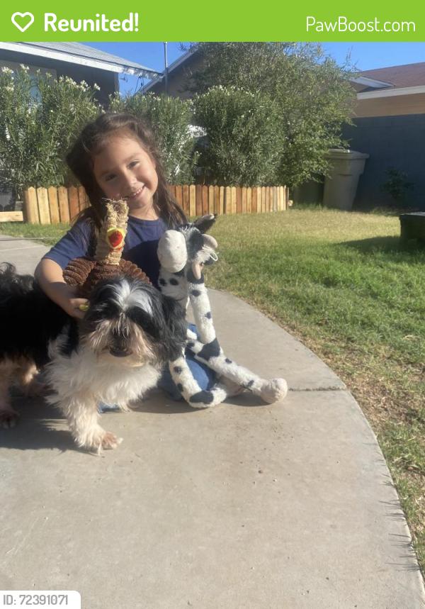 Reunited Male Dog last seen 45th ave and montebello, Phoenix, AZ 85310