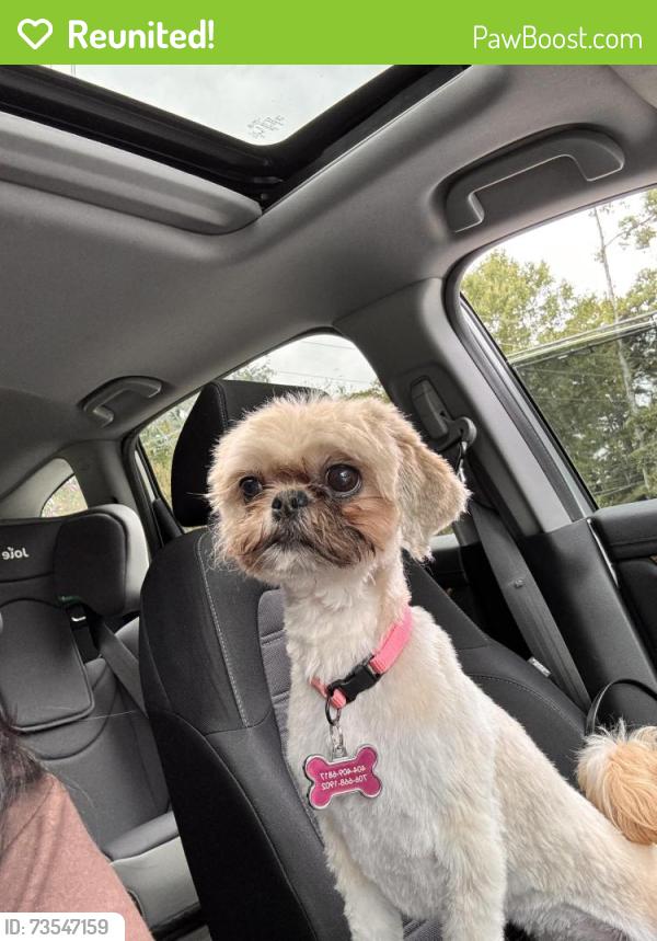 Reunited Female Dog last seen Near Prescott ct, Newnan, GA 30265