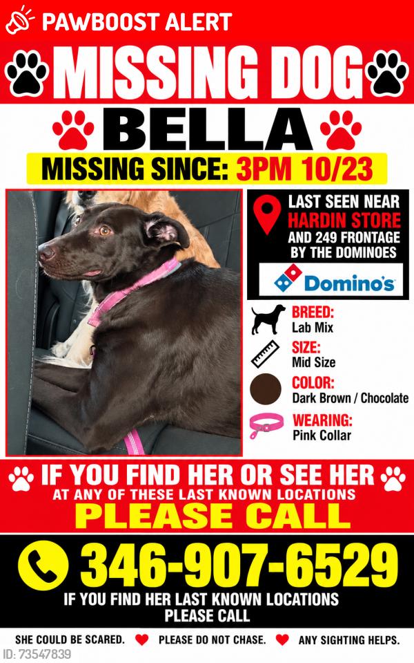 Lost Female Dog last seen Hardin Store and 249, Montgomery County, TX 77354