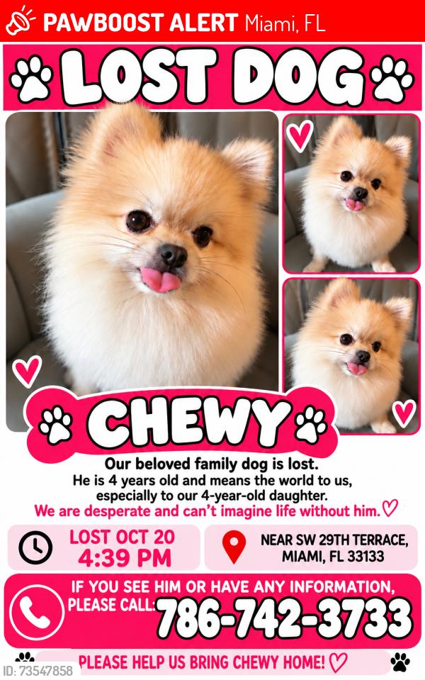 Lost Male Dog last seen Dixie hwy, Miami, FL 33133