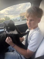 Reunited Male Cat last seen Frederick/ave 50, Coachella, CA 92236