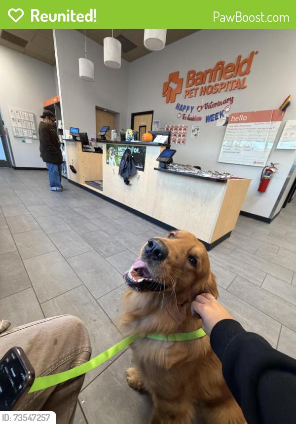 Reunited Male Dog last seen Durham and Kester, Edison, NJ 08817