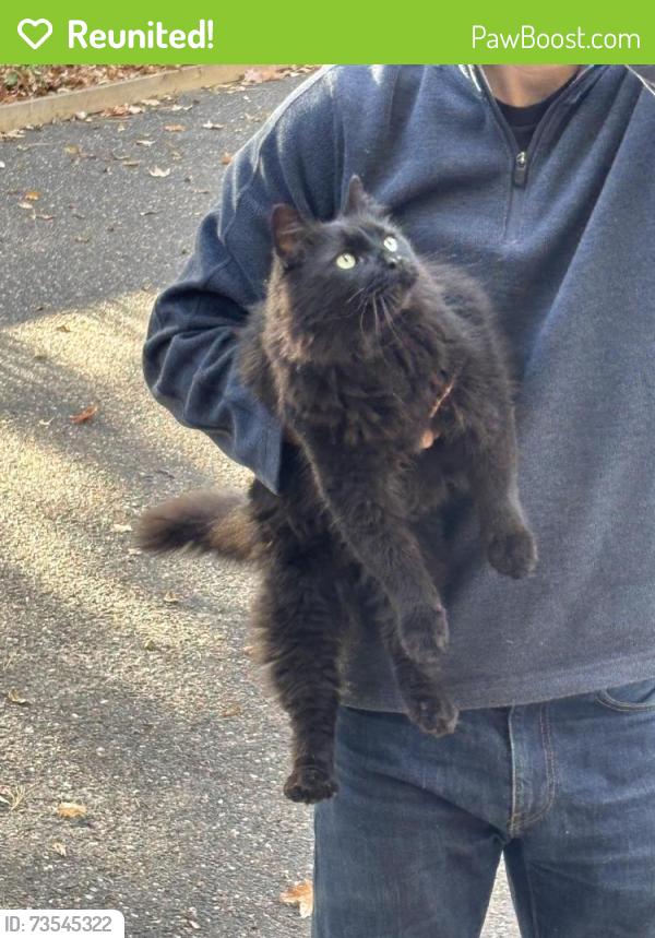 Reunited Unknown Cat last seen Burns and Upper Afton, Saint Paul, MN 55106