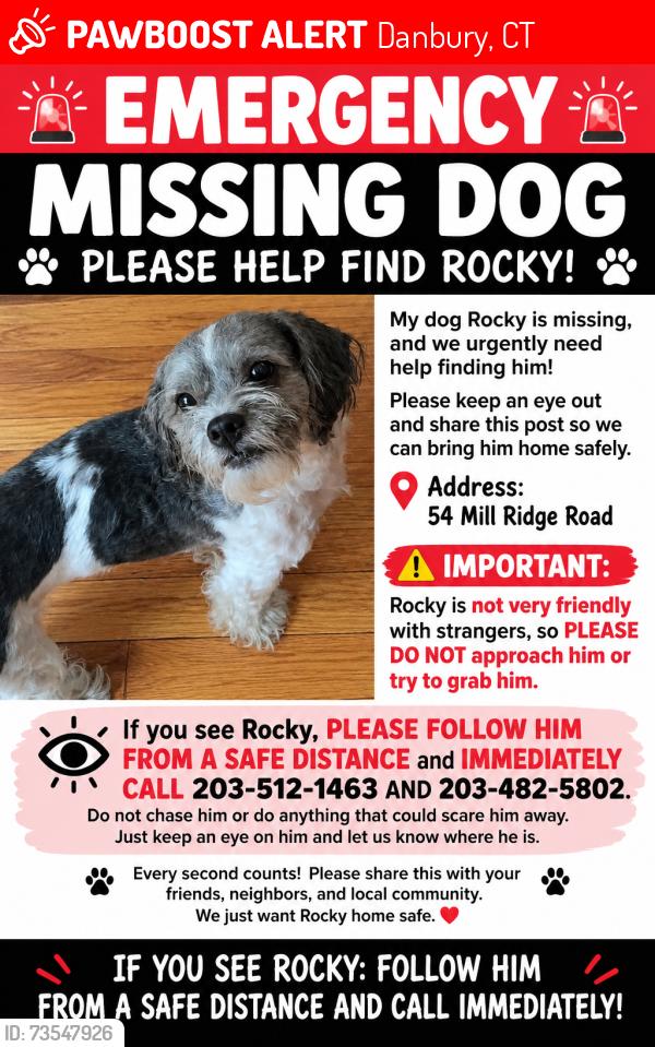 Lost Male Dog last seen He was last seen by stop and shop, Danbury, CT 06811