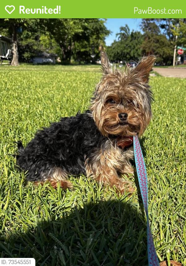 Reunited Male Dog last seen Grandview dr & Purington ave, Fort Worth, TX 76112
