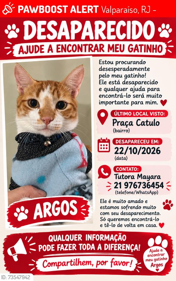Lost Male Cat last seen Rua Leopoldo Gonçalves da Silva, Valparaíso, RJ 25640-362