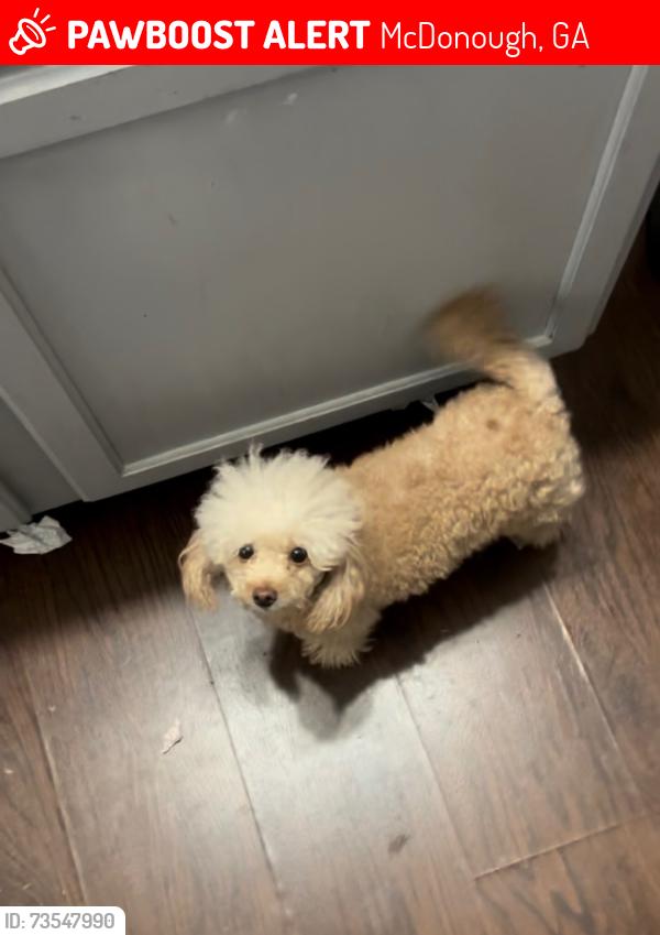 Lost Female Dog last seen Beaufort way Wesley lakes, McDonough, GA 30253