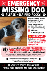 Lost Male Dog last seen high ridge, Danbury, CT 06811