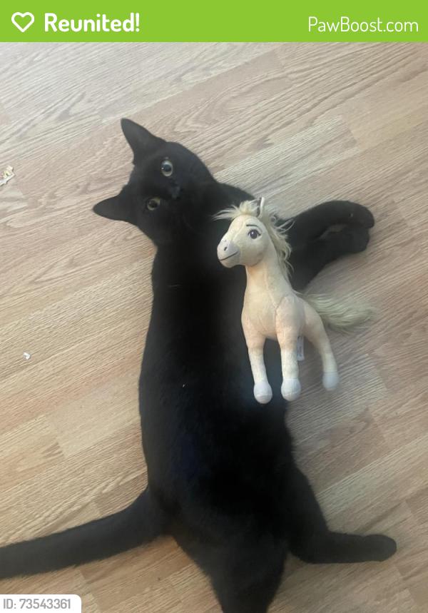 Reunited Female Cat last seen Last seen near 30 Levasseur Road, St. Albert, St. Albert, AB T8N 7A6