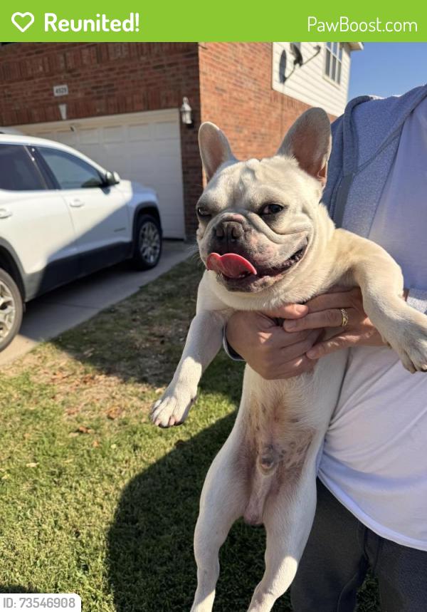 Reunited Male Dog last seen Ocean Dr, Fort Worth, TX 76123