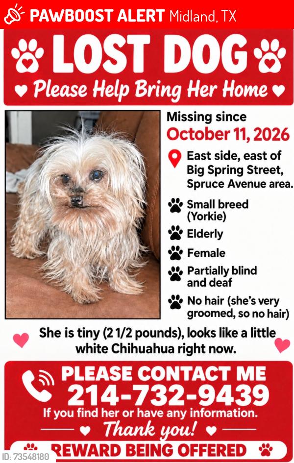 Lost Female Dog last seen Spruce and big spring, Midland, TX 79705