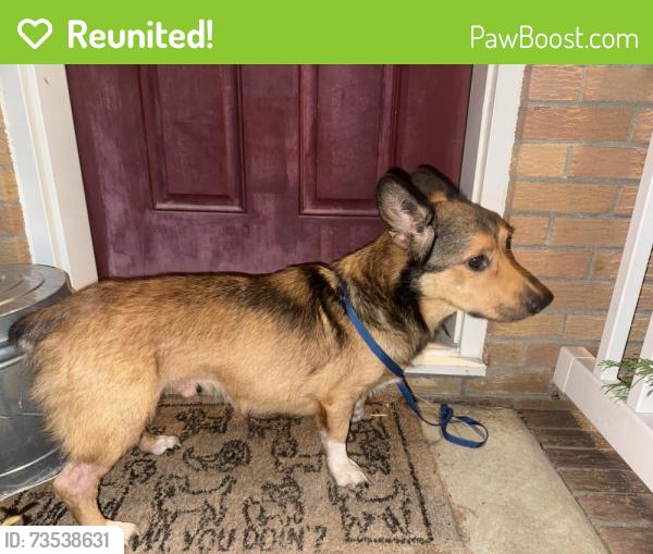 Reunited Male Dog last seen Redheart and Todd’s lane, Hampton, VA 23666