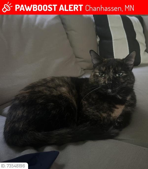 Lost Female Cat last seen 78th St, Hwy 5, Chanhassen, MN 55317