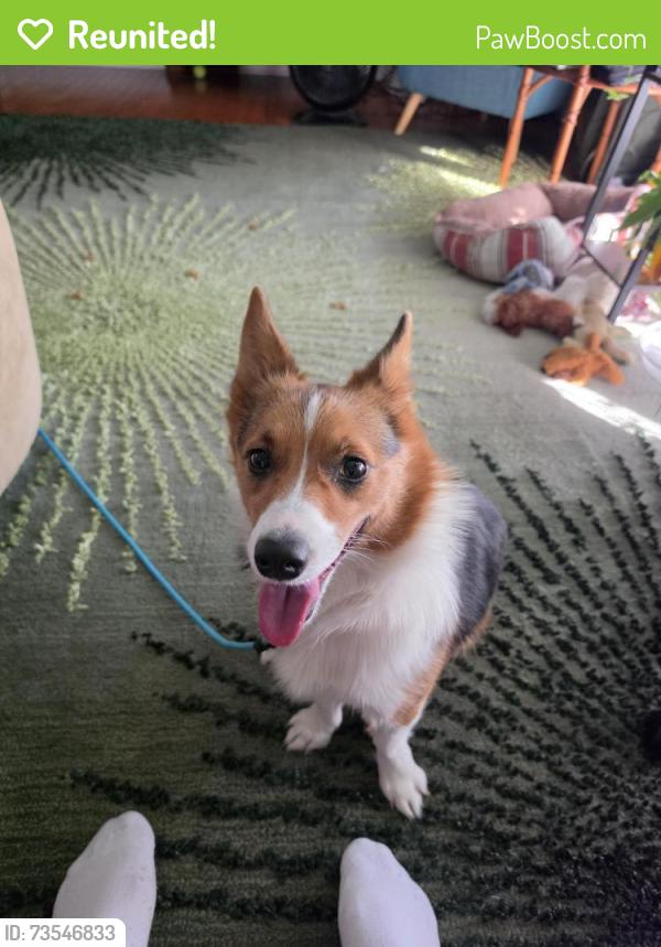 Reunited Unknown Dog last seen Imperial Oaks, Rockford, IL 61114