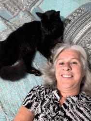 Reunited Male Cat last seen Allen Park elementary School, Fort Myers, FL 33901