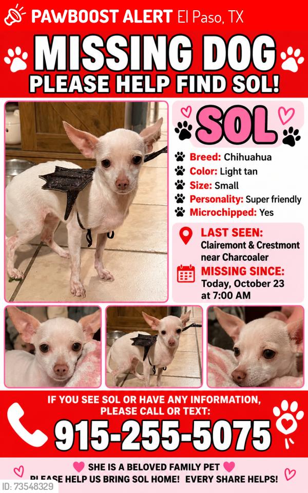 Lost Female Dog last seen Near Mesa, El Paso, TX 79912