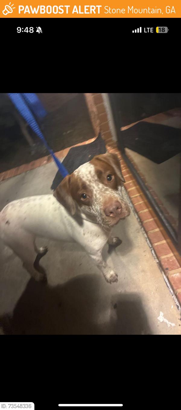 Found/Stray Male Dog last seen Alford Dr, Stone Mountain, GA 30087