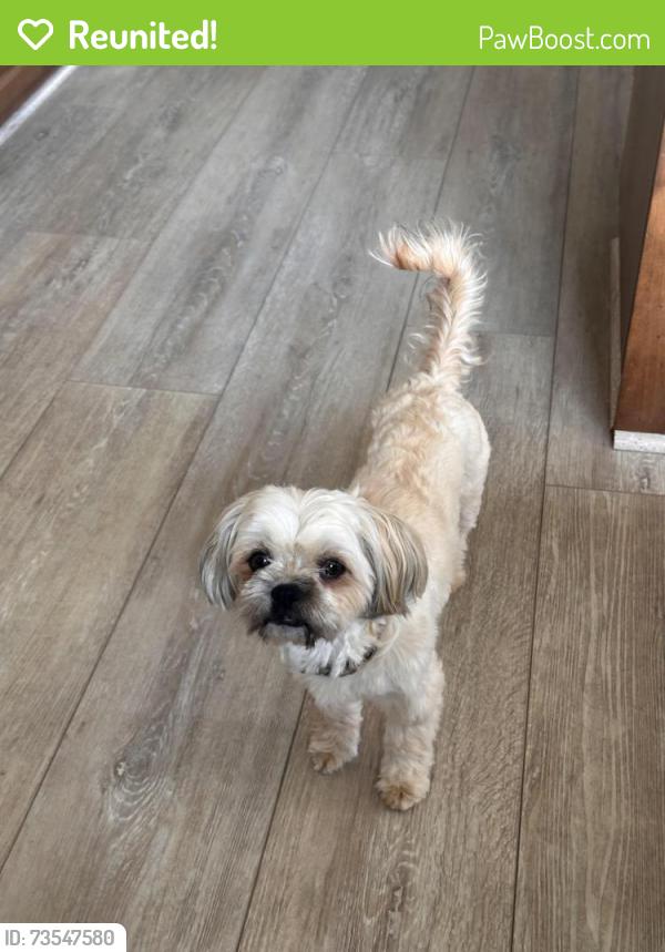Reunited Female Dog last seen Near AMPM off of Sophia Pkwy, El Dorado Hills, CA 95762