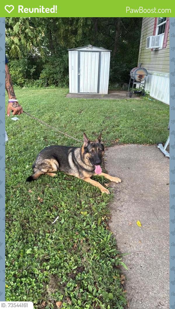 Reunited Male Dog last seen Near Sorrel Dr, O'Fallon, MO 63368