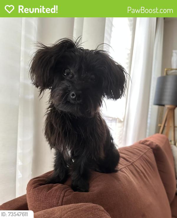 Reunited Male Dog last seen N/A, Wimberley, TX 78676