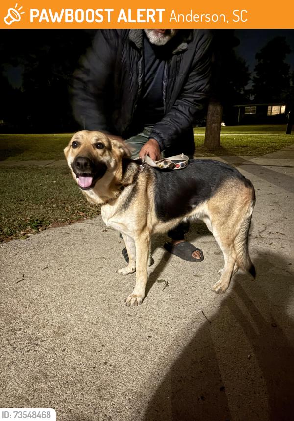 Found/Stray Female Dog last seen Nevitt Forest, Anderson, SC 29621